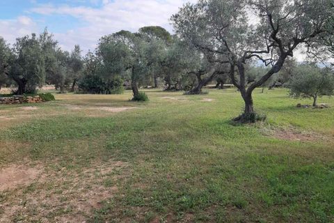 Landhuis in El Perello, Tarragona - foto 5